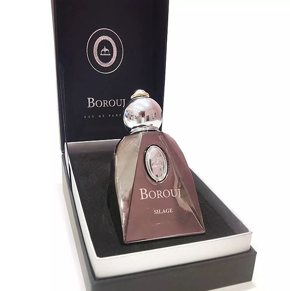 ادکلن BOROUJ SILAGE DUMONT PARIS ادکلن دومونت پاریس بروج سیلاژ اصل
